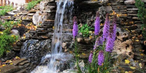 Alpine slide - 150 fotografií a video popis volby stylu, možnosti designu a design nápady